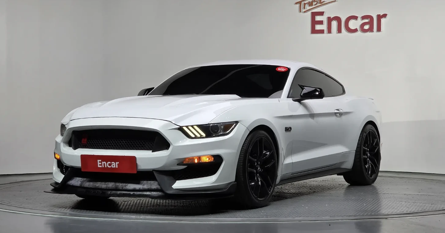 Ford Mustang GT COUPE | SHELBY PACKAGE