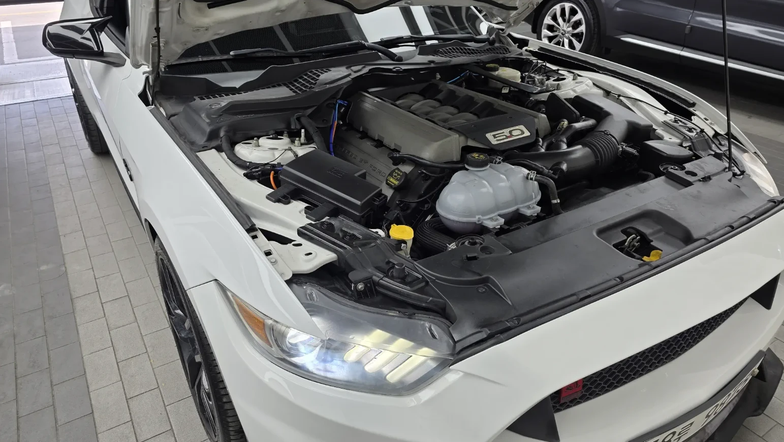 Ford Mustang GT COUPE | SHELBY PACKAGE, снимка 17 - Автомобили и джипове - 54409746