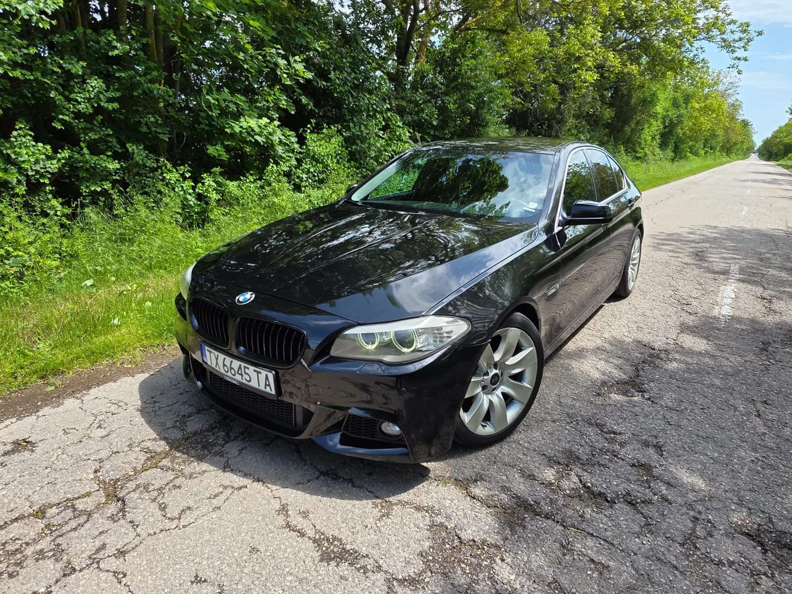 BMW 525 BMW 525 3.0 204 N57