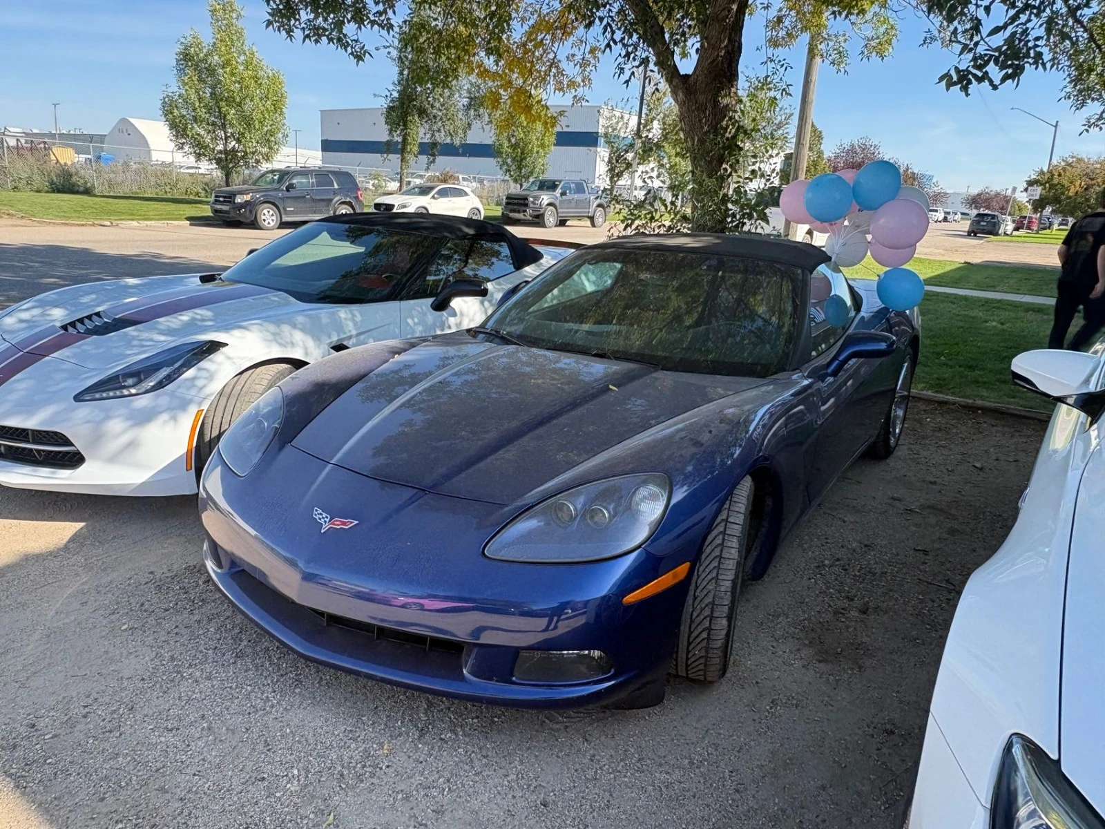 Chevrolet Corvette LS2 MANUAL Цена до България & АвтоКредит, снимка 3 - Автомобили и джипове - 56219429