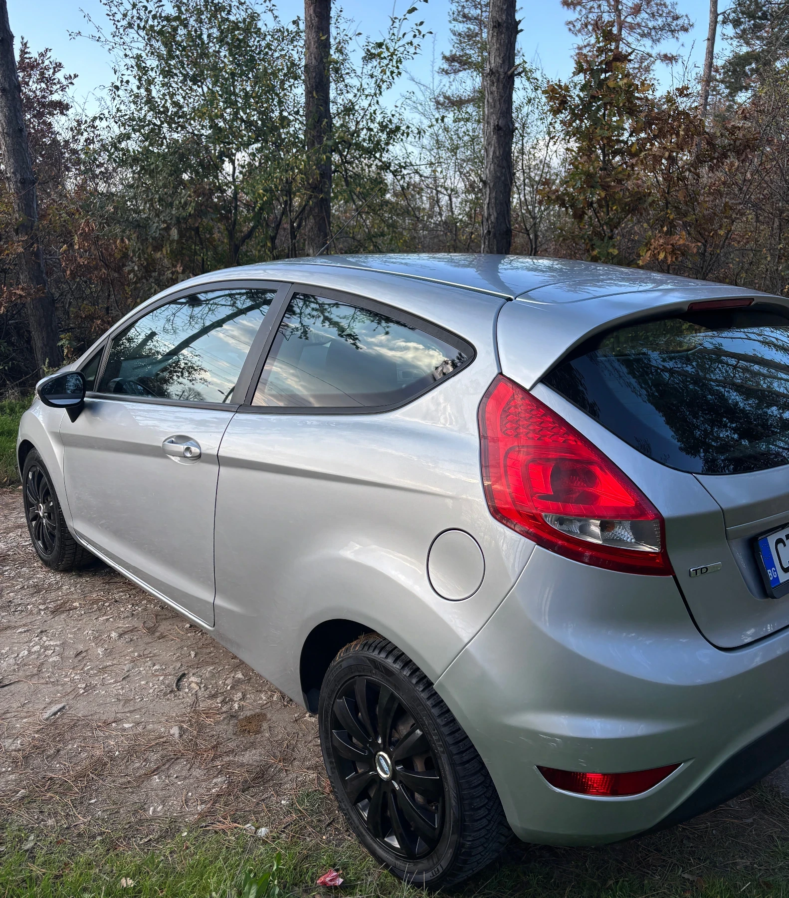 Ford Fiesta 1.4 TDCI - изображение 5