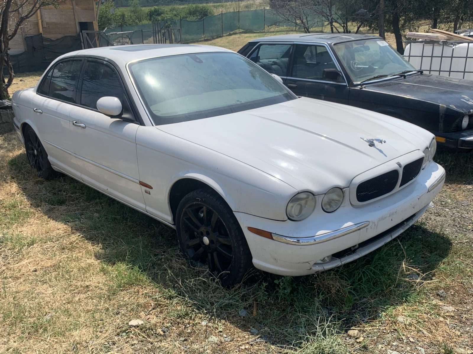 Jaguar Xjr, снимка 13 - Автомобили и джипове - 54209988