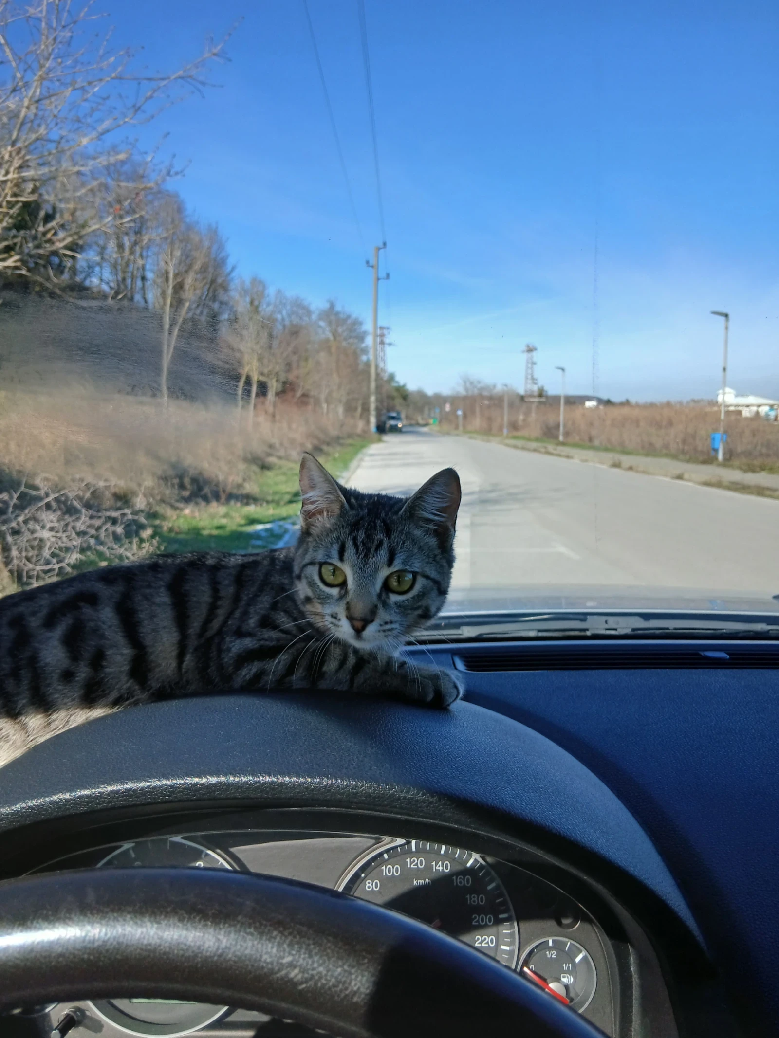 Trabant 601 601 | Mobile.bg � ����������� 2