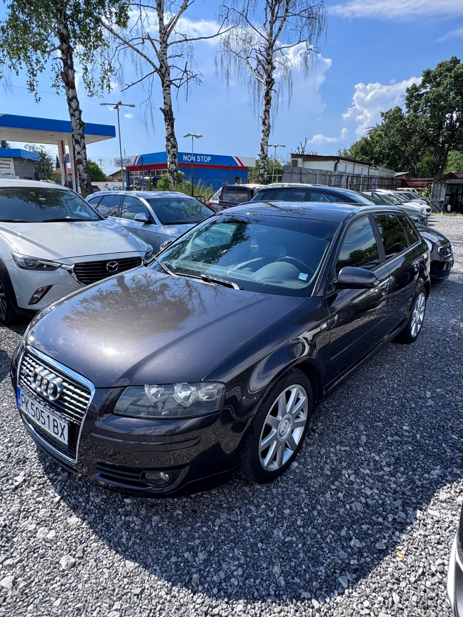 Audi A3 2.0 TDI 170 hp, снимка 2 - Автомобили и джипове - 54882800