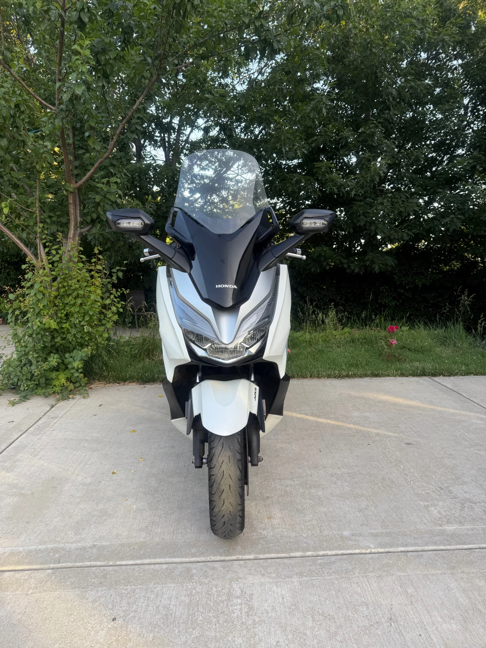 Honda Forza 2021 300 TCS ABS - изображение 3