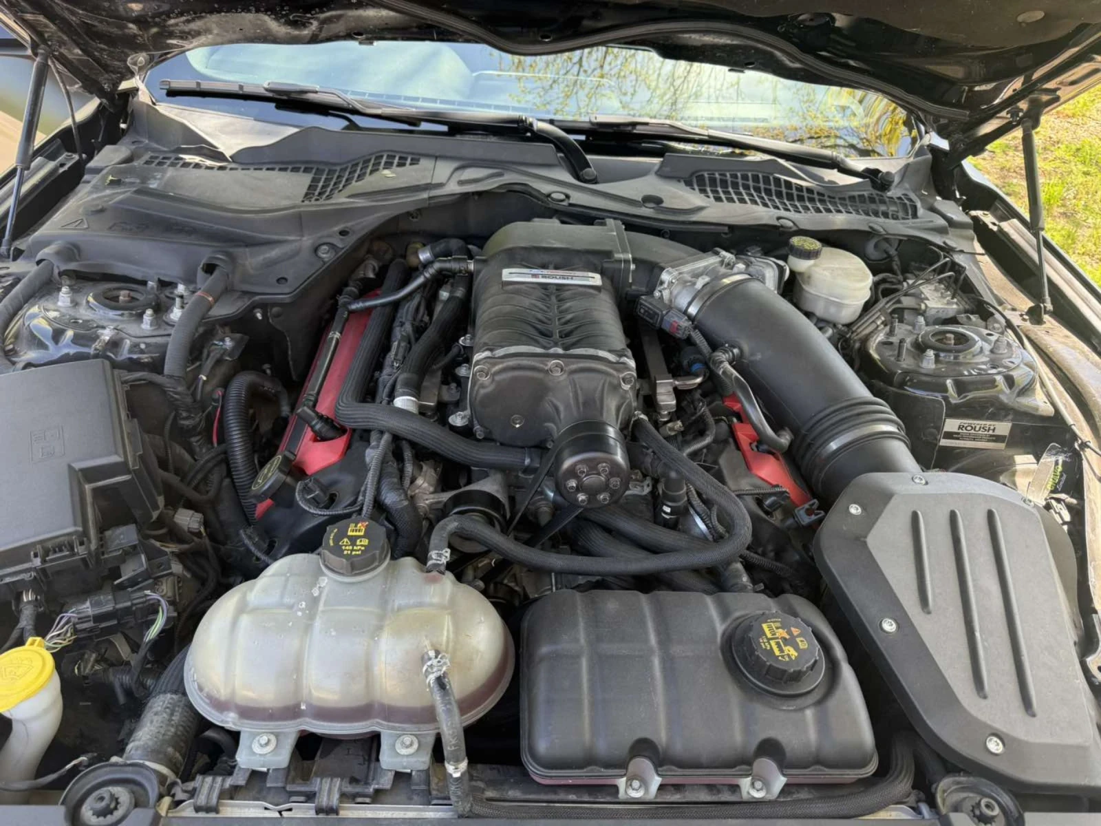 Ford Mustang ?? ROUSH PERFORMANCE STAGE | | | ??, снимка 9 - Автомобили и джипове - 54335817