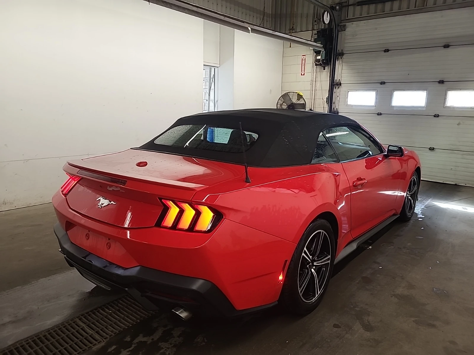 Ford Mustang ECOBOOST PREMIUM | Mobile.bg � ����������� 17