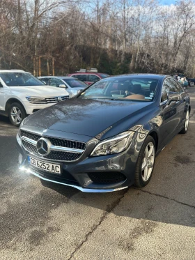     Mercedes-Benz CLS 350 BLUETEC 