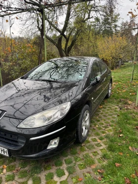 Peugeot 407  - изображение 1