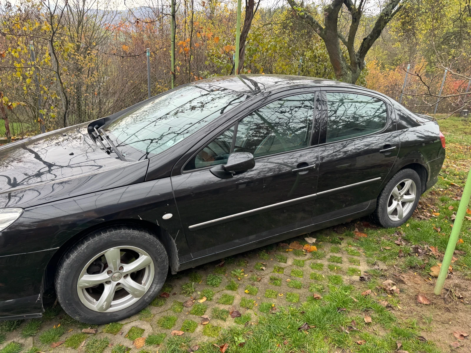 Peugeot 407  - изображение 2