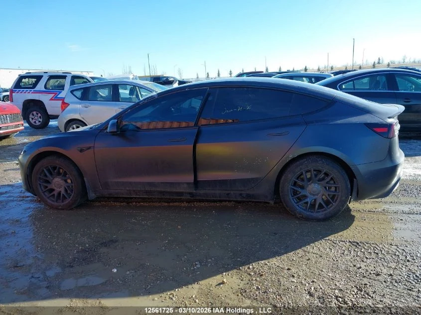 Tesla Model 3, снимка 3 - Автомобили и джипове - 54174220