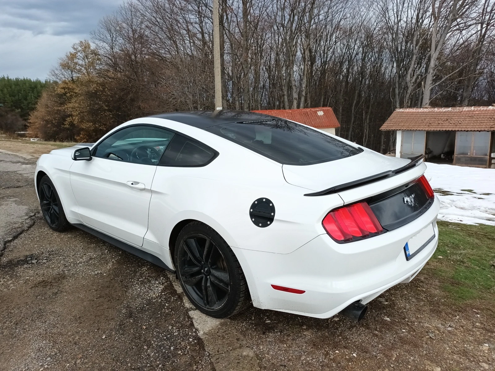 Ford Mustang 2.3 ECOBOOST - изображение 6