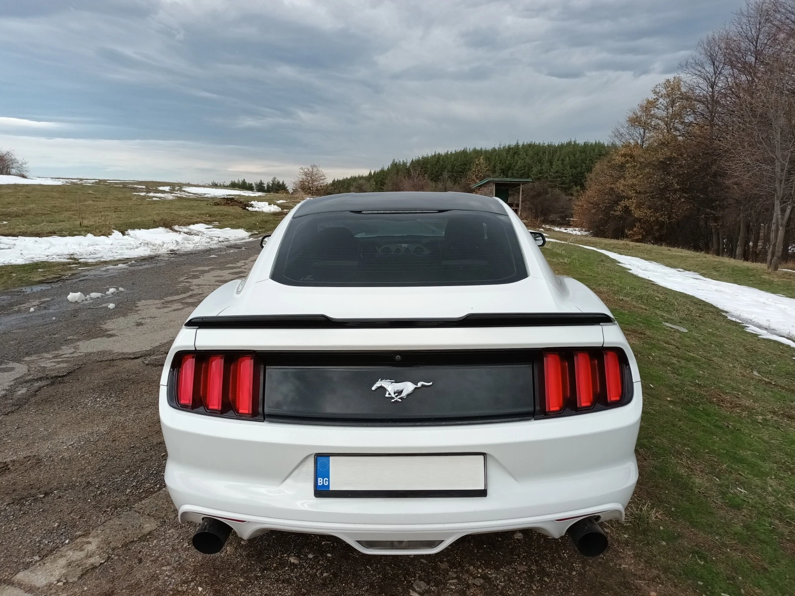 Ford Mustang 2.3 ECOBOOST - изображение 7