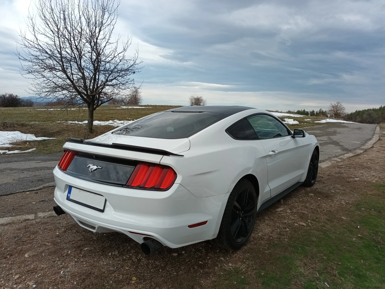 Ford Mustang 2.3 ECOBOOST - изображение 8