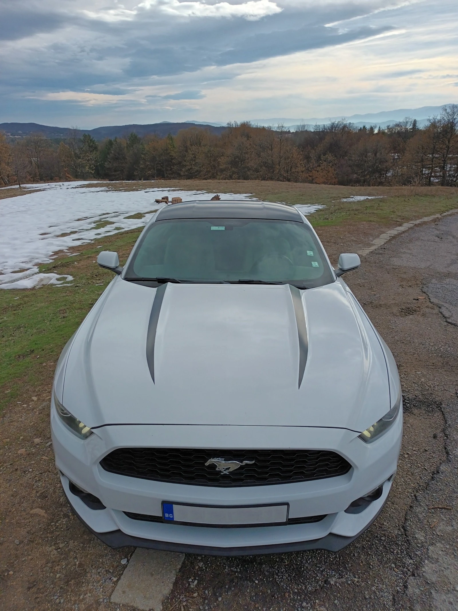 Ford Mustang 2.3 ECOBOOST - изображение 2