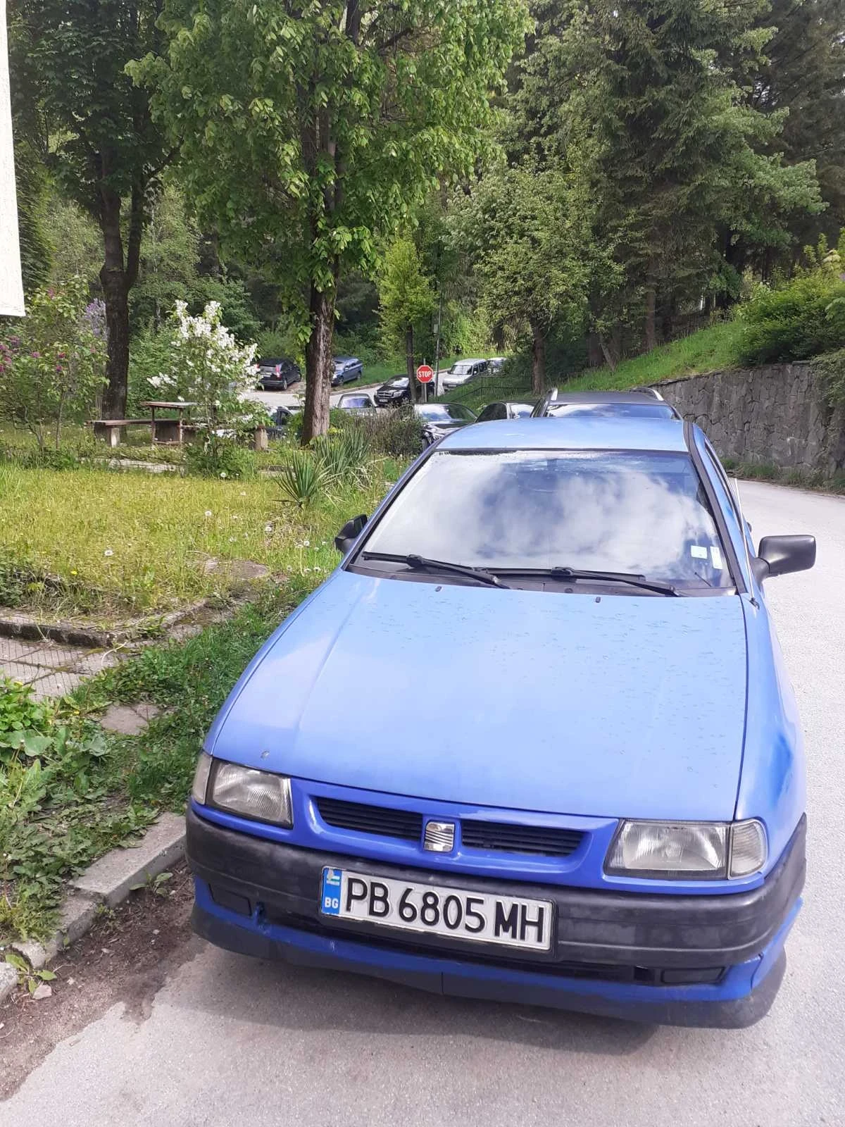 Seat Ibiza  - изображение 3