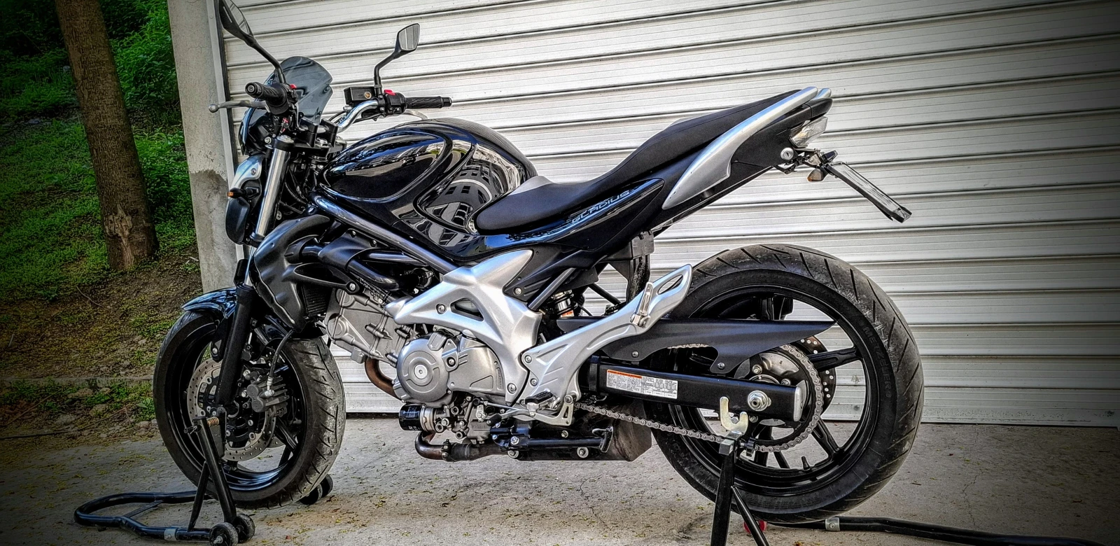 Suzuki Gladius 650 - изображение 3