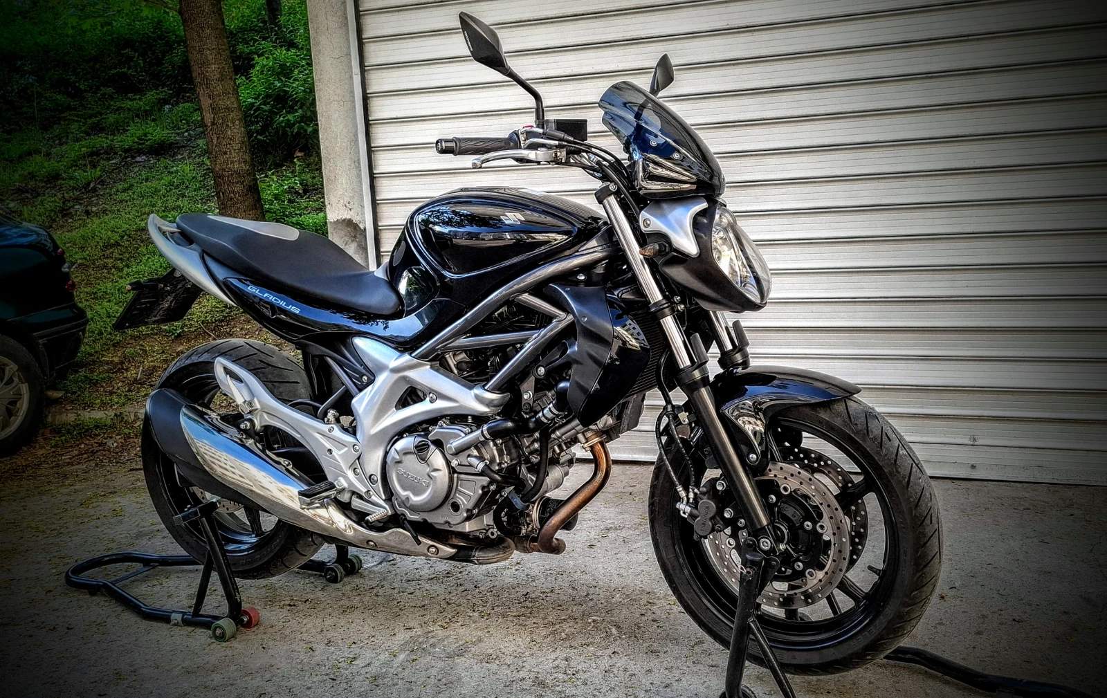 Suzuki Gladius 650 - изображение 6