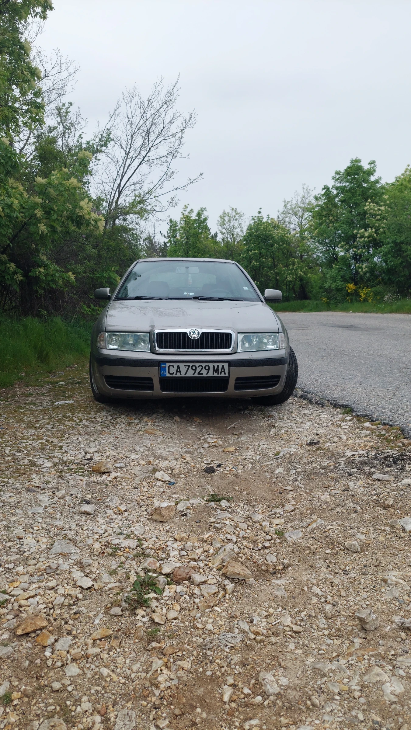 Skoda Octavia 1.9 TDI, снимка 2 - Автомобили и джипове - 55106171