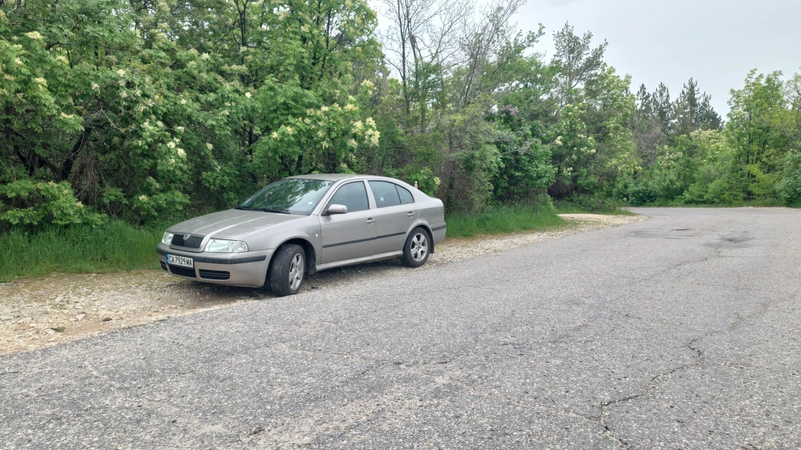 Skoda Octavia 1.9 TDI, снимка 3 - Автомобили и джипове - 55106171