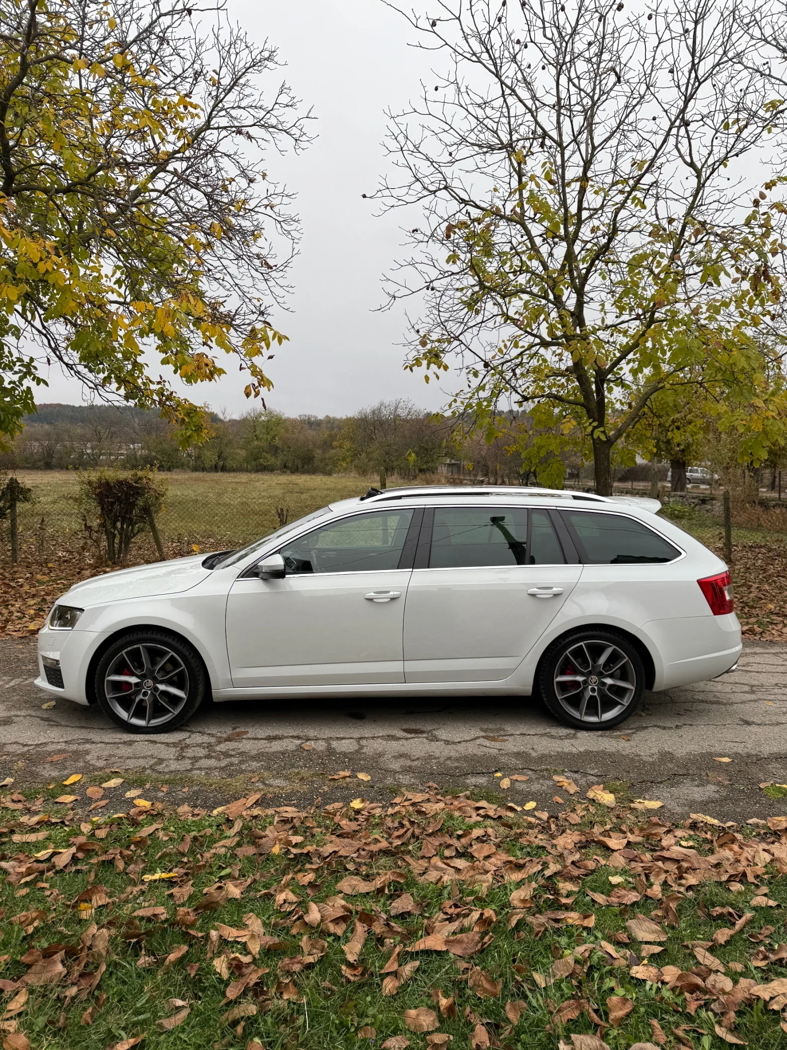 Skoda Octavia VRS - изображение 4