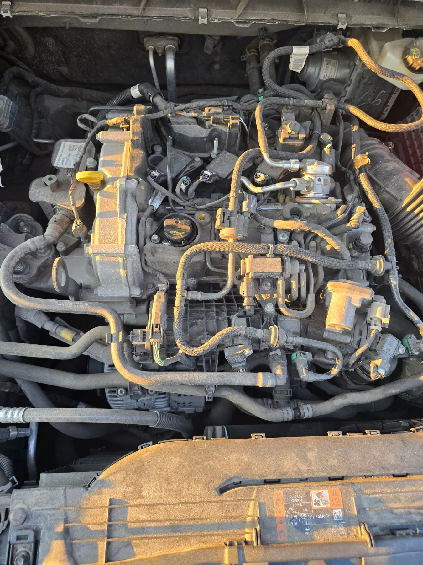 Ford Focus Active, снимка 14 - Автомобили и джипове - 55780396