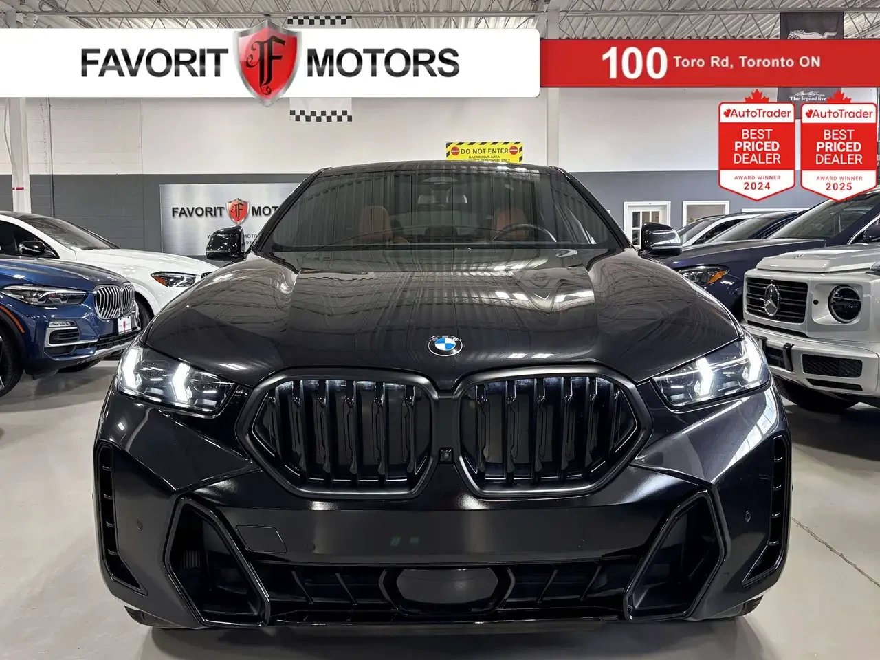 BMW X6
