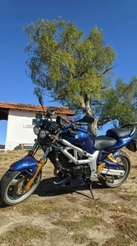 Suzuki SV 650 | Mobile.bg    4
