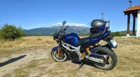  Suzuki SV