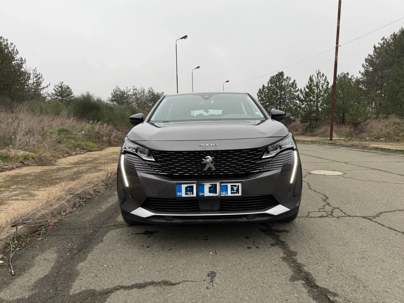 Peugeot 3008 1.3 petrol, снимка 1