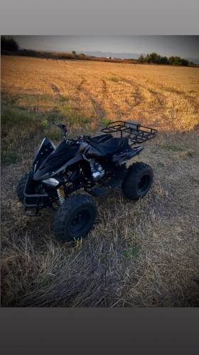     Shineray XY Contry Ranger 250cc