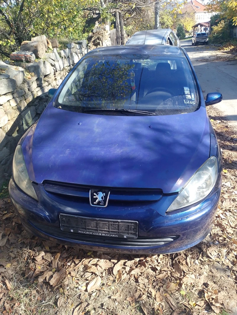 Peugeot 307