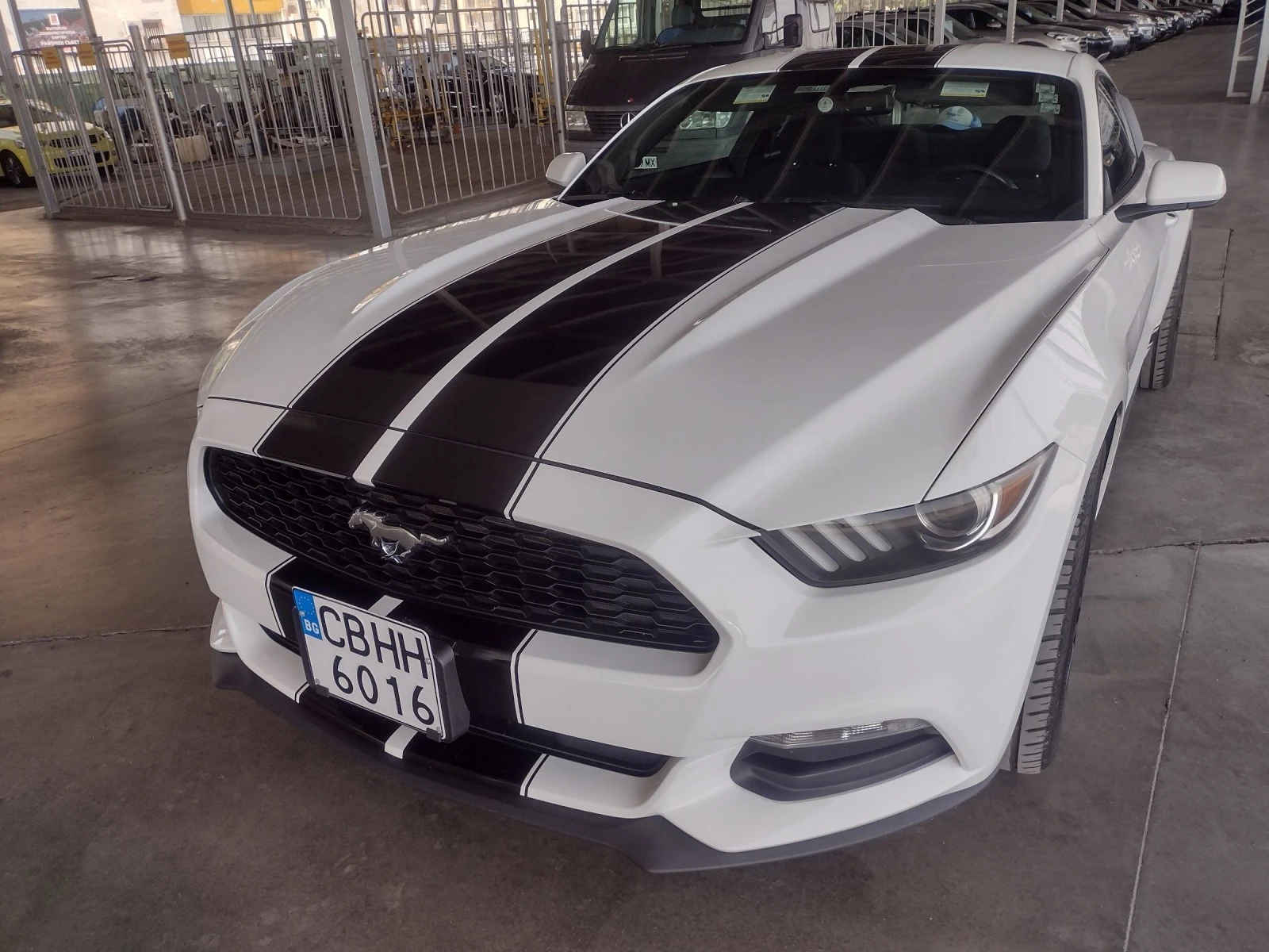 Ford Mustang 3.7 до края на месеца - изображение 2