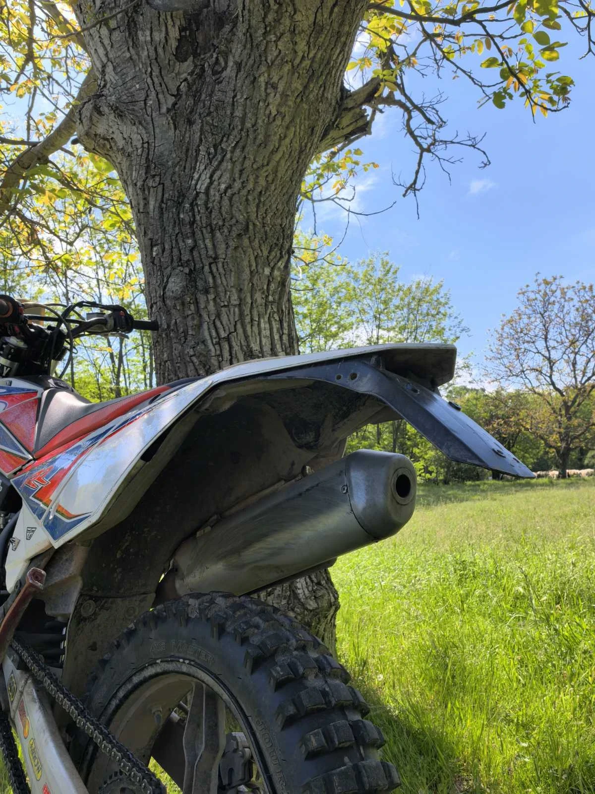 Beta Rr 125 - изображение 10