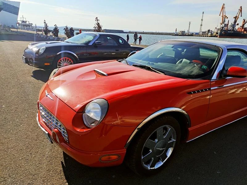 Ford Thunderbird Chrome Edition - изображение 2