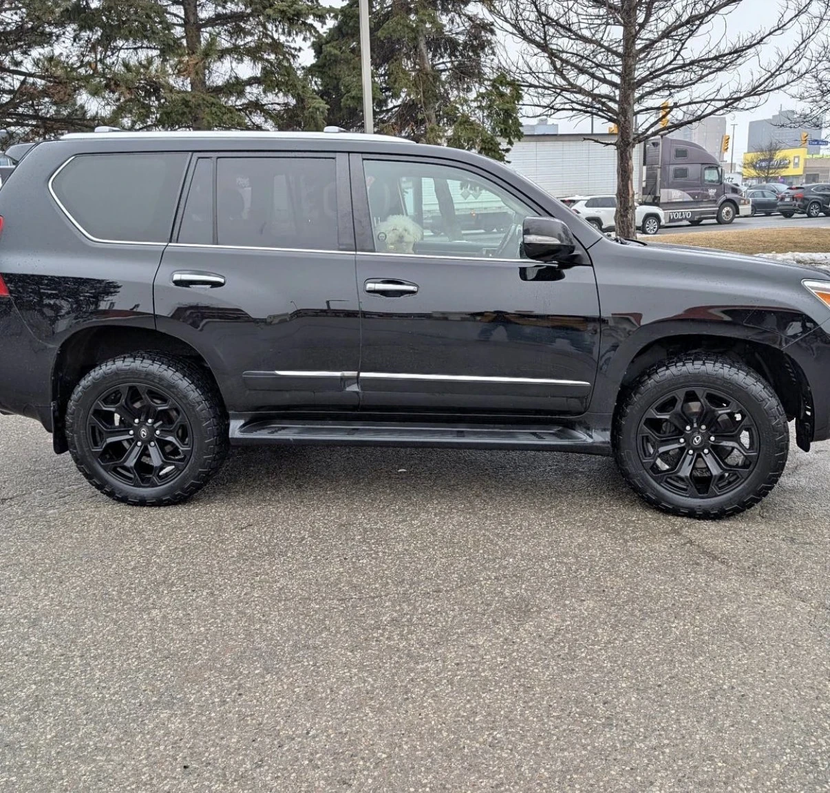 Lexus GX 460 2�� ���������� * ����� �������� ������� * 7 �����  | Mobile.bg � ����������� 2