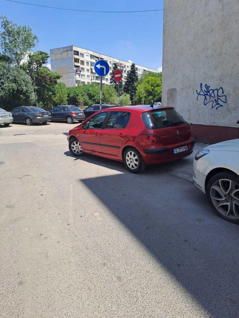 Peugeot 307, снимка 5 - Автомобили и джипове - 53581096