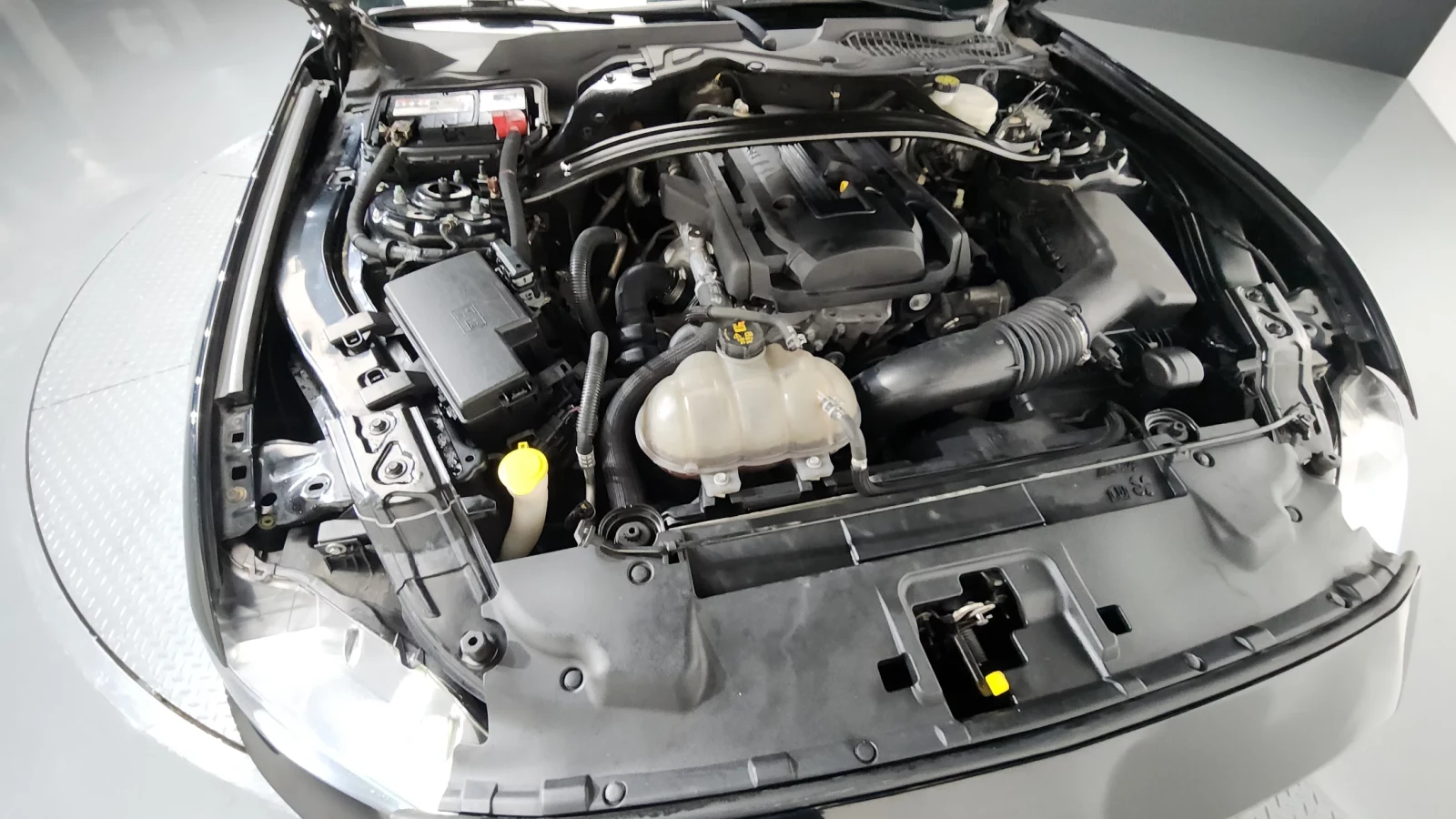 Ford Mustang, снимка 15 - Автомобили и джипове - 54332482