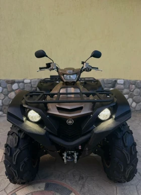 Yamaha Grizzly Special Edition  - изображение 1