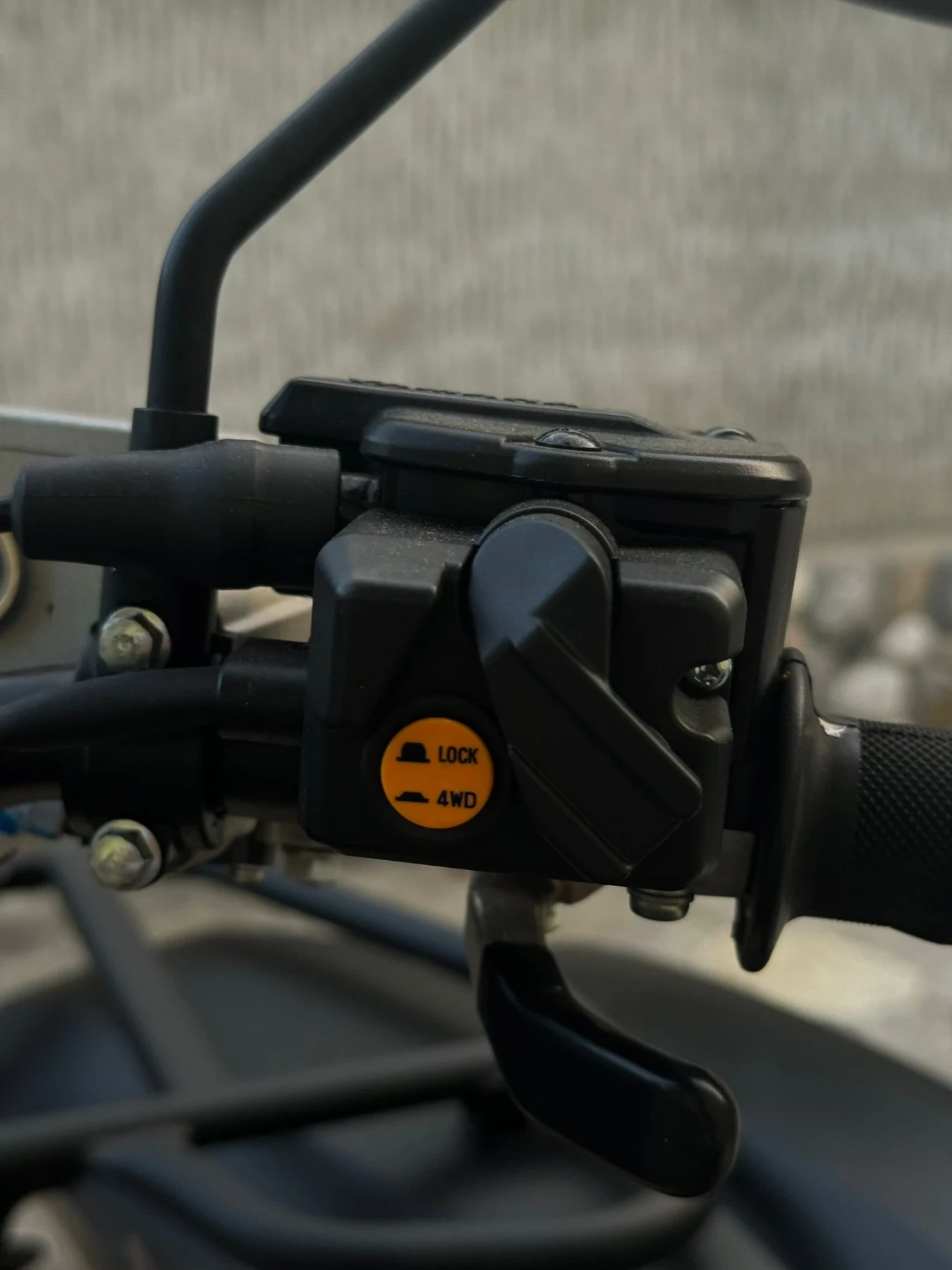 Yamaha Grizzly Special Edition  - изображение 10