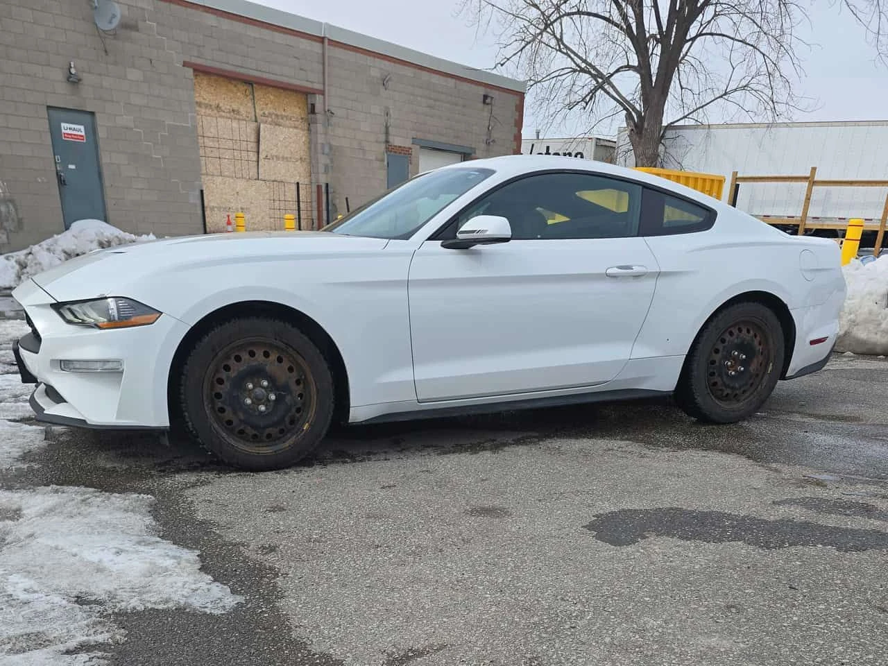 Ford Mustang * EcoBoost * CARFAX * ЦЕНА ДО БГ, снимка 2 - Автомобили и джипове - 53734494