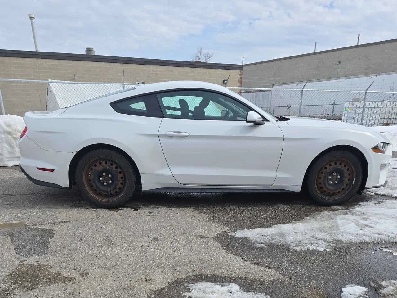 Ford Mustang * EcoBoost * CARFAX * ЦЕНА ДО БГ, снимка 3 - Автомобили и джипове - 53734494