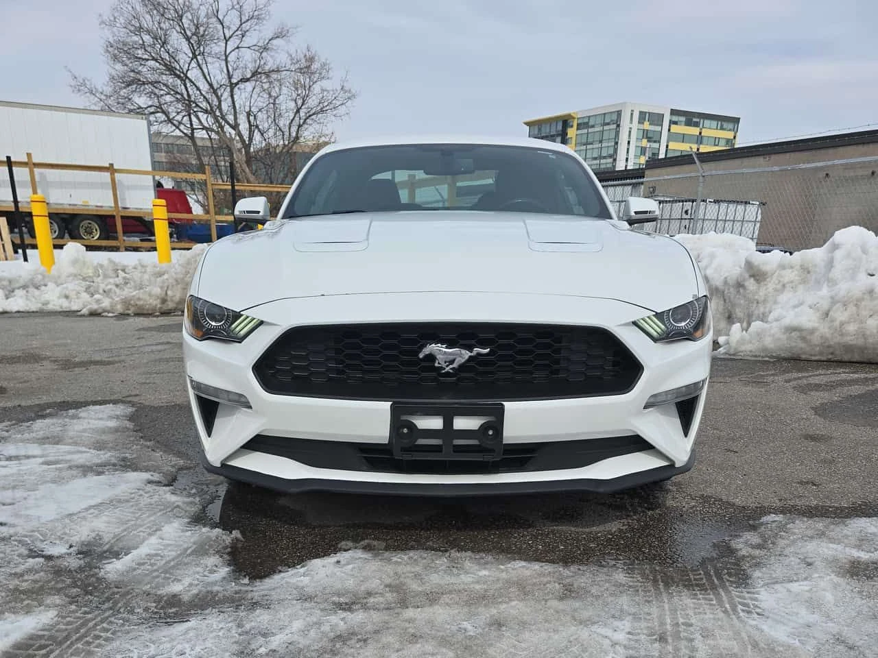 Ford Mustang * EcoBoost * CARFAX * ЦЕНА ДО БГ, снимка 4 - Автомобили и джипове - 53734494