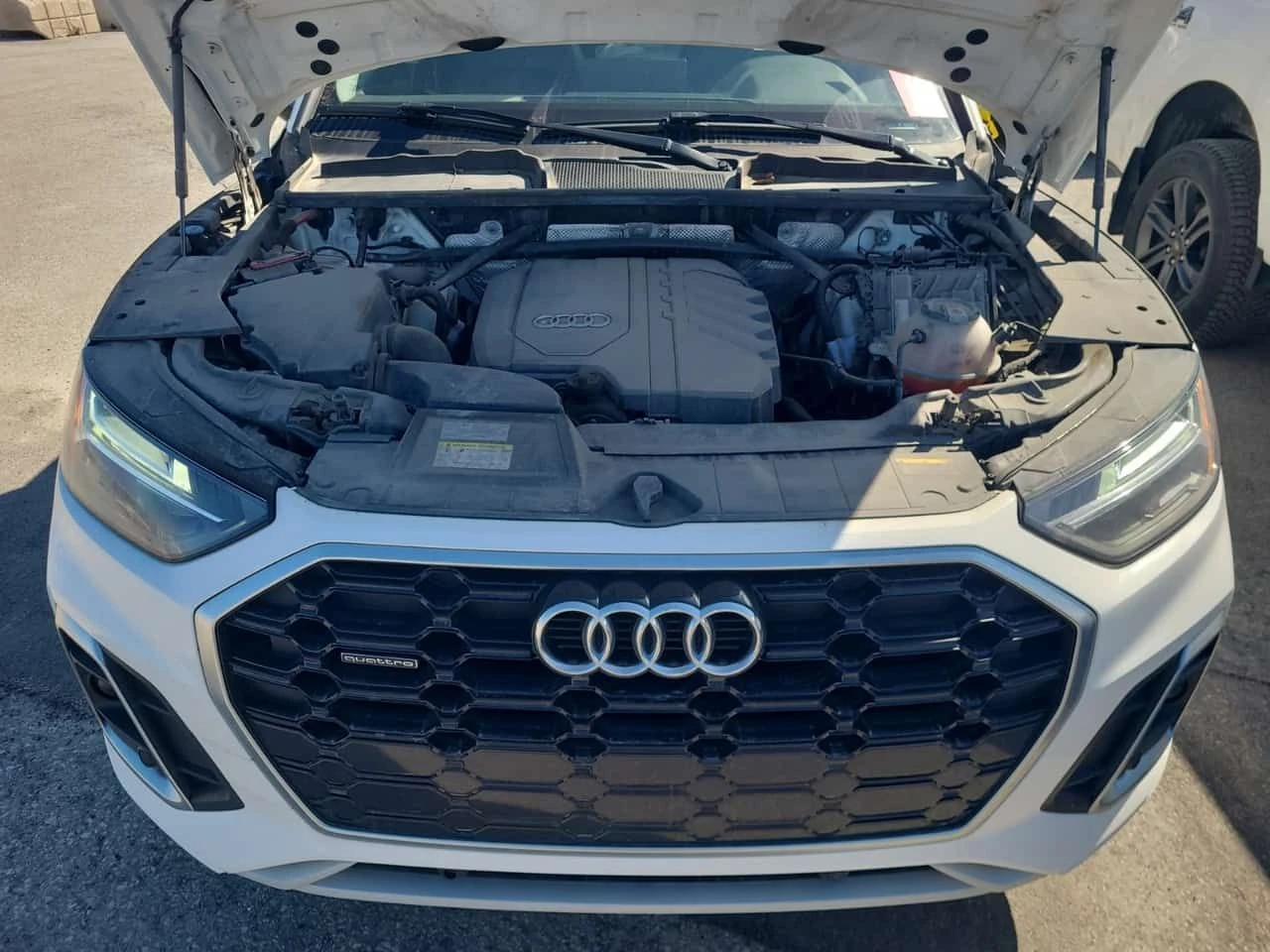 Audi Q5 PROGRESSIV/CARFAX/ДИСТРОНИК/+ ГУМИ/2 КЛЮЧА/ПАНО/, снимка 16 - Автомобили и джипове - 54297154