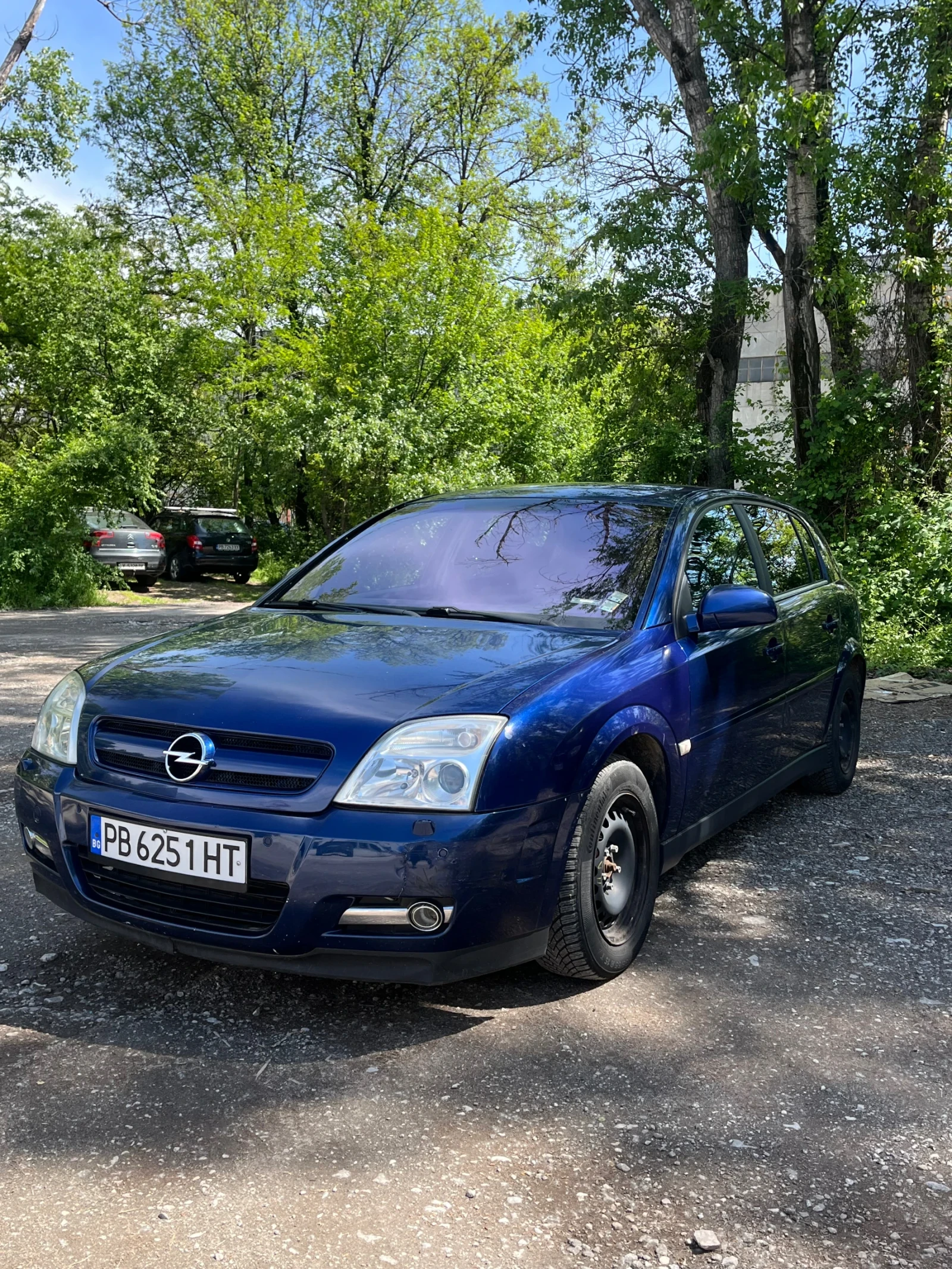 Opel Signum, снимка 2 - Автомобили и джипове - 54412260