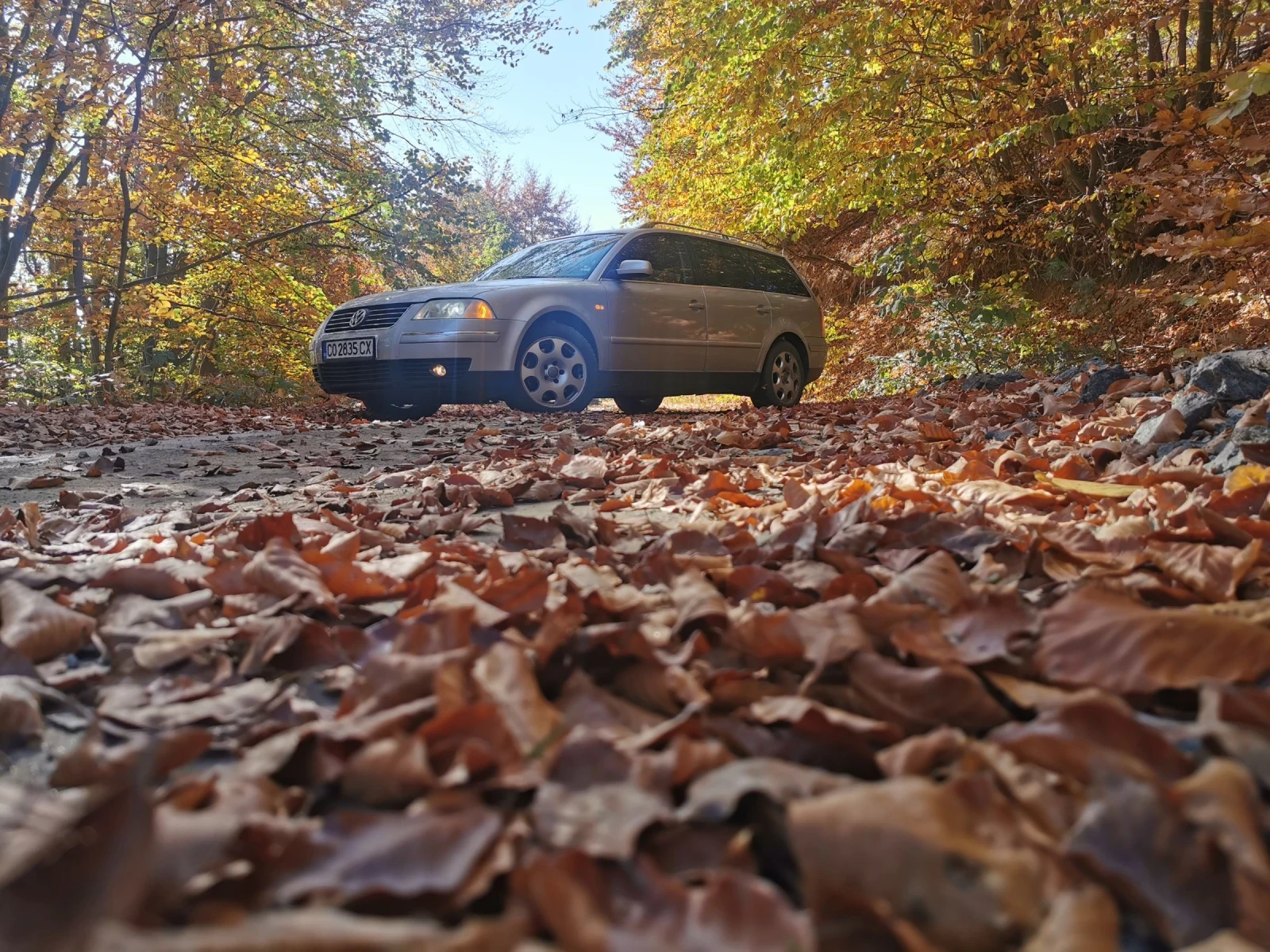 VW Passat B 5.5 | Mobile.bg   3