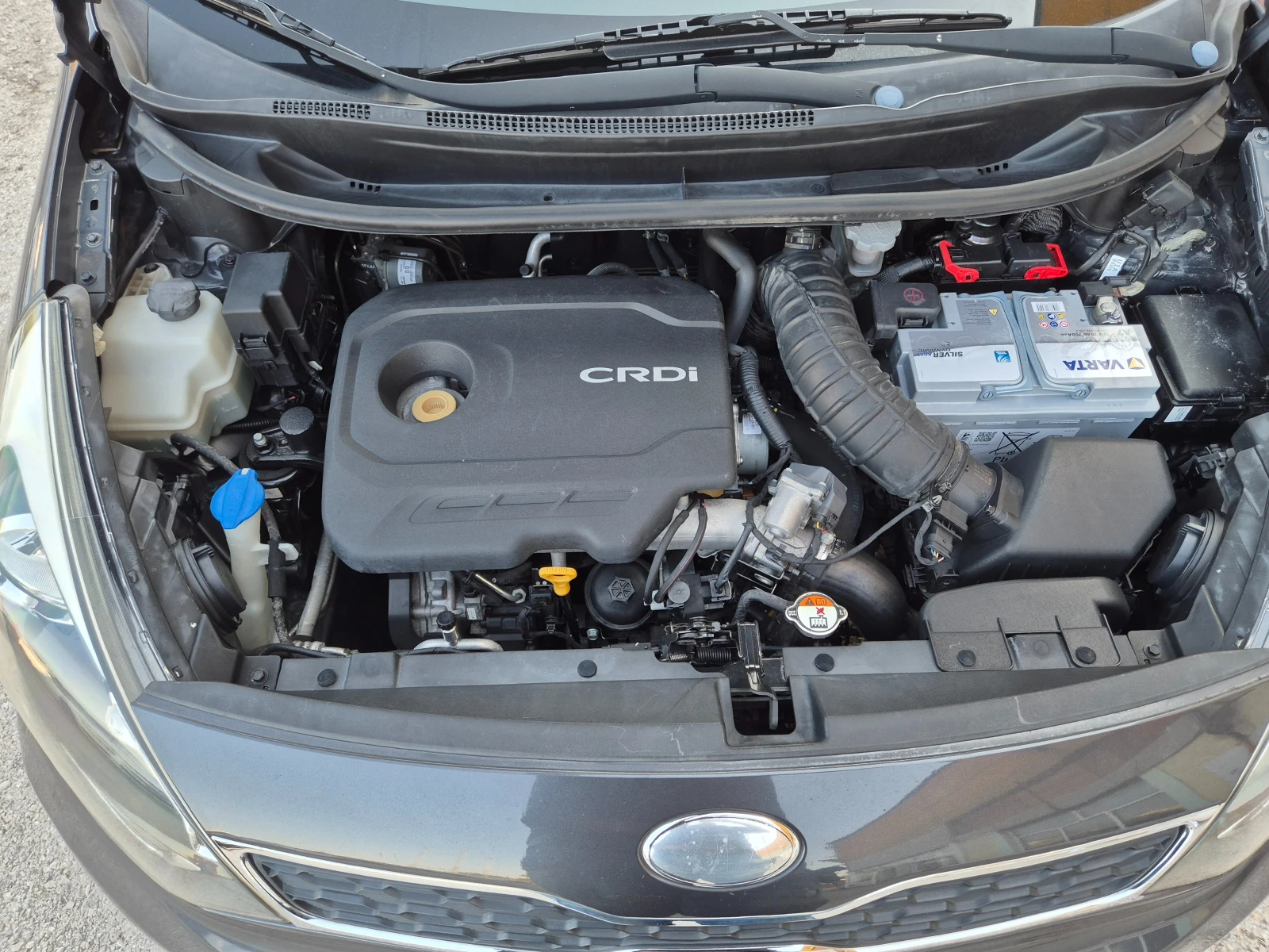 Kia Rio 1.1 CRDI ITALY, снимка 17 - Автомобили и джипове - 55646703