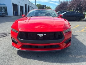 Обява за продажба на Ford Mustang * EcoBoost Convertible * CARFAX * БЕЗ ПЪРВОНАЧАЛНА ~61 000 лв. - изображение 5 | Auto.bg Обява за продажба на Ford Mustang * EcoBoost Convertible * CARFAX * БЕЗ ПЪРВОНАЧАЛНА ~61 000 лв. - изображение 5