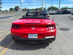 Обява за продажба на Ford Mustang * EcoBoost Convertible * CARFAX * БЕЗ ПЪРВОНАЧАЛНА ~61 000 лв. - изображение 3 | Auto.bg Обява за продажба на Ford Mustang * EcoBoost Convertible * CARFAX * БЕЗ ПЪРВОНАЧАЛНА ~61 000 лв. - изображение 3