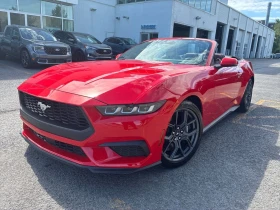 Обява за продажба на Ford Mustang * EcoBoost Convertible * CARFAX * БЕЗ ПЪРВОНАЧАЛНА ~61 000 лв. - изображение 1 | Auto.bg Обява за продажба на Ford Mustang * EcoBoost Convertible * CARFAX * БЕЗ ПЪРВОНАЧАЛНА ~61 000 лв. - изображение 1